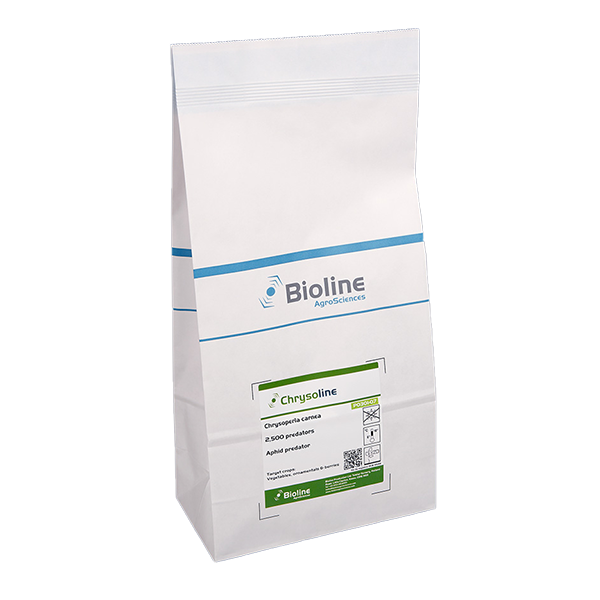 Chrysoline - 2500 larvae per bag - Biological Control